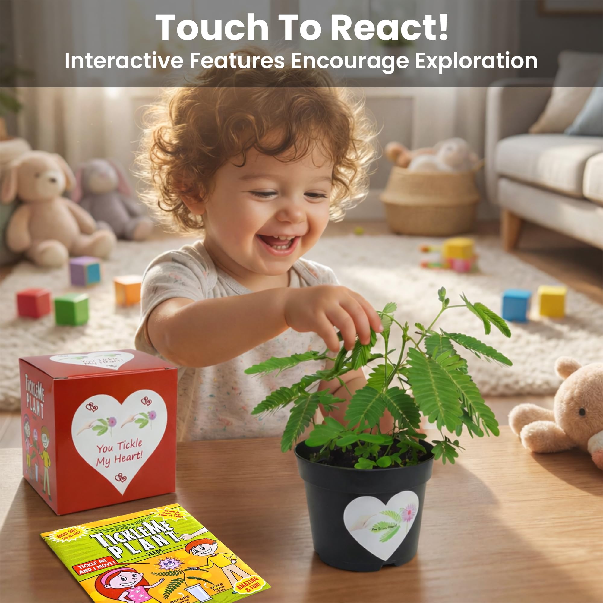 TickleMe Plant reacts to tickling with leaf movement