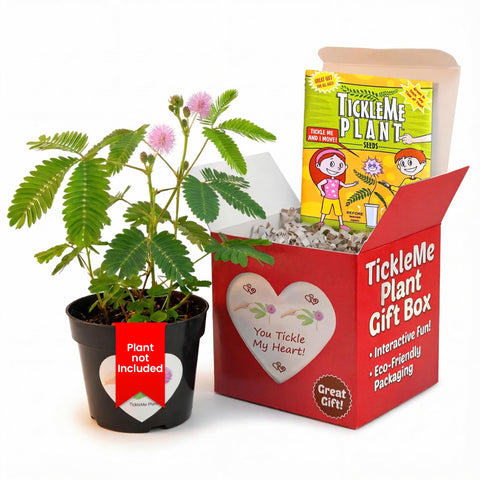 TickleMe Plant Grow Kit unpacked with components for indoor gardening