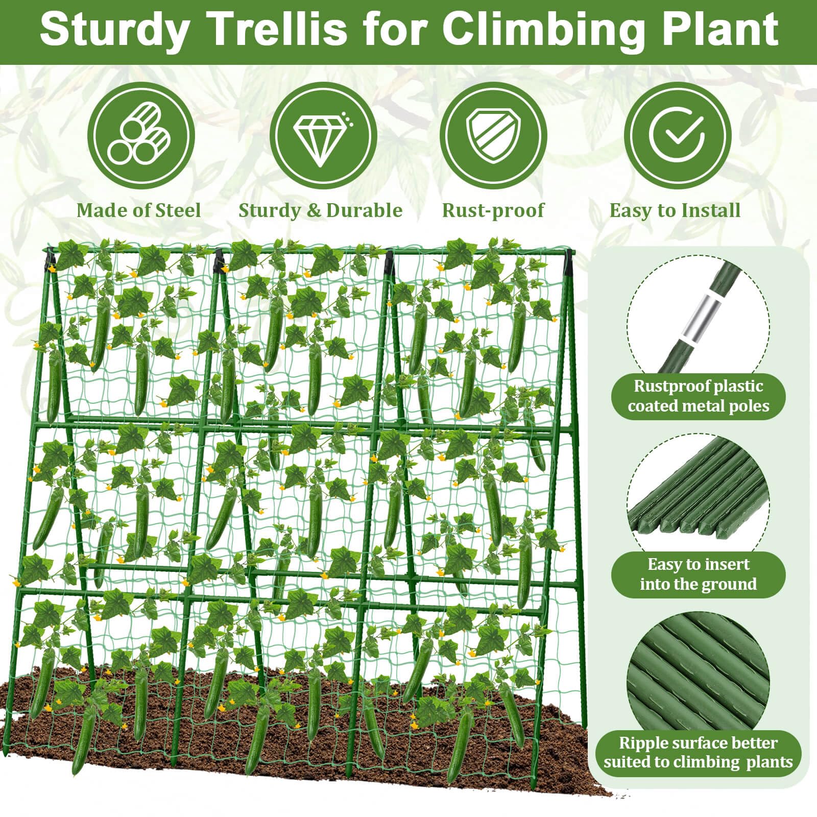 Tidponra climbing net guiding vines toward sun and air.