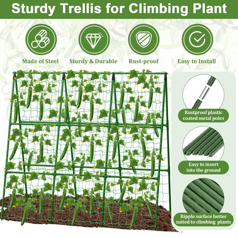 Tidponra climbing net guiding vines toward sun and air.