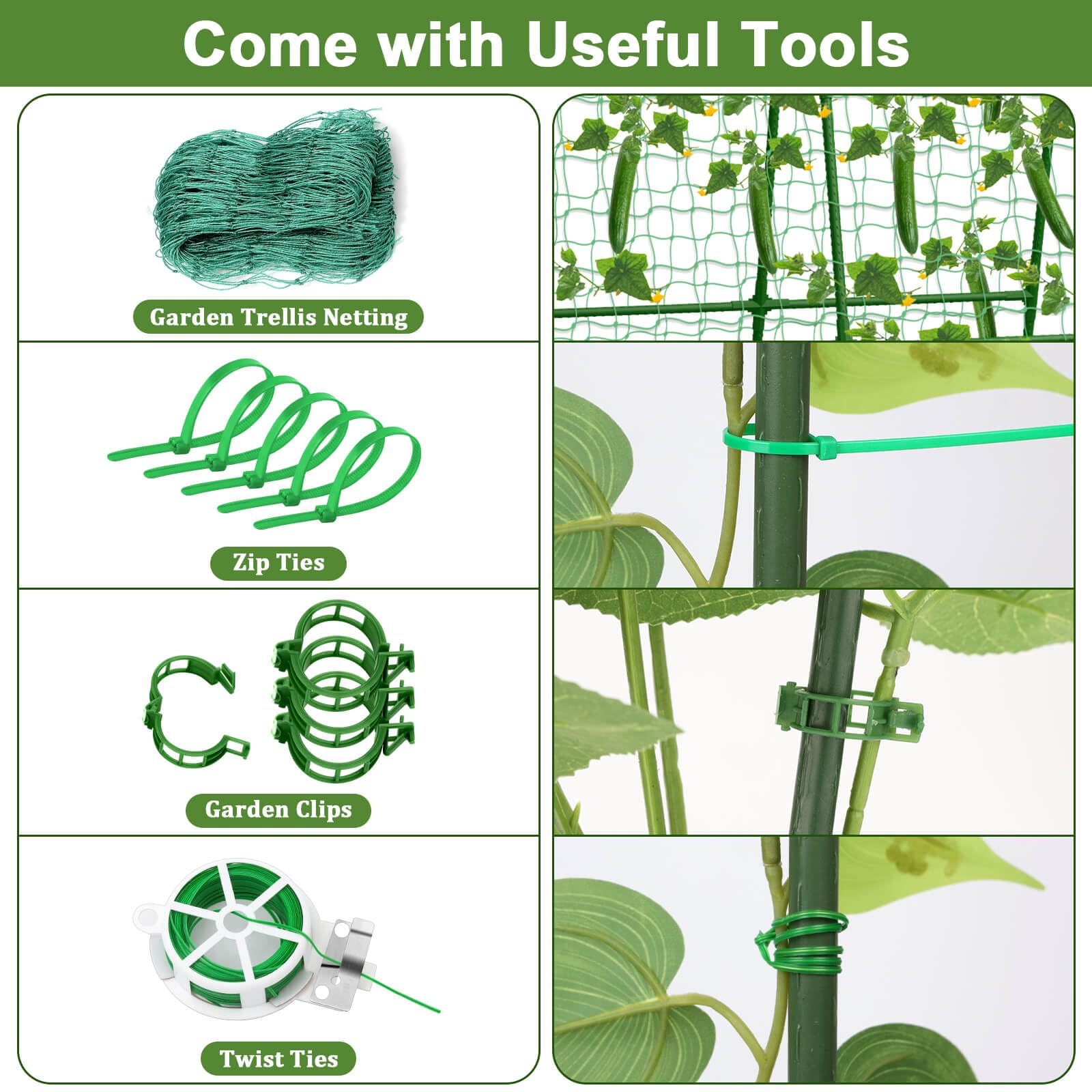 Tidponra plant twist ties provide flexible support for growing branches