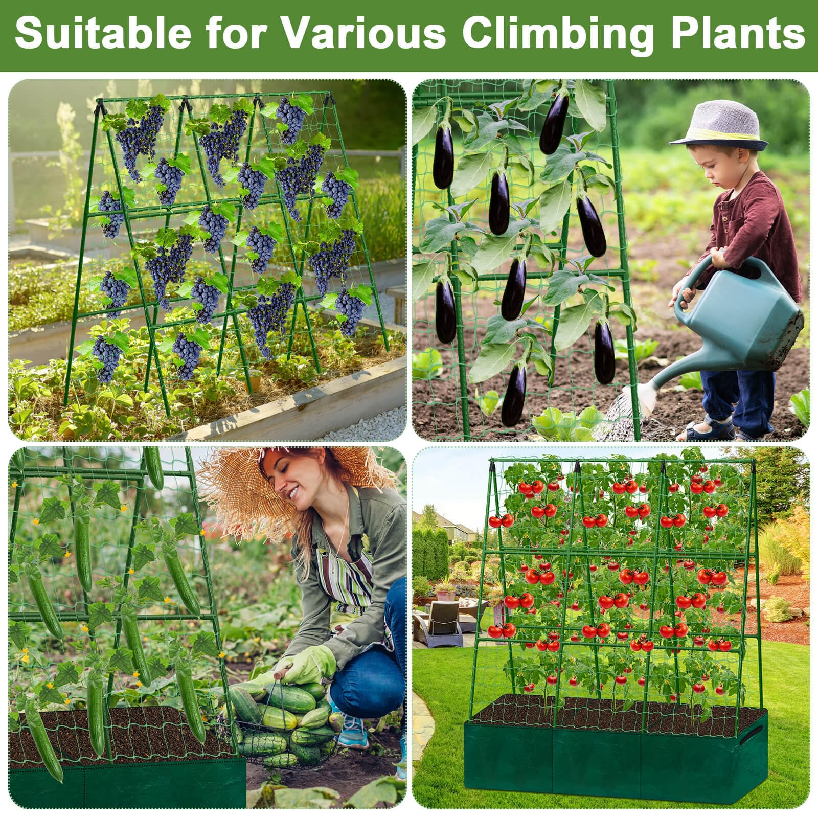 Tidponra vertical garden saves space while boosting vine growth and yield potential.