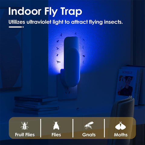 TIENBE trap in a living room setup showing unobtrusive placement