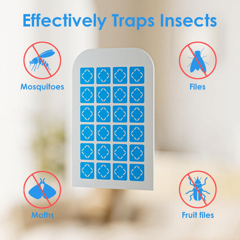 TIENBE glue cards inserted into indoor trap for extended protection.