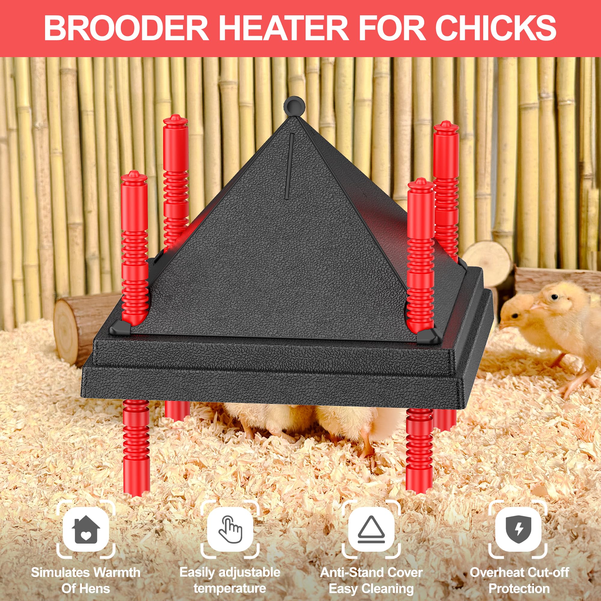 Tiflev brooder plate digital display shows surface temperature.