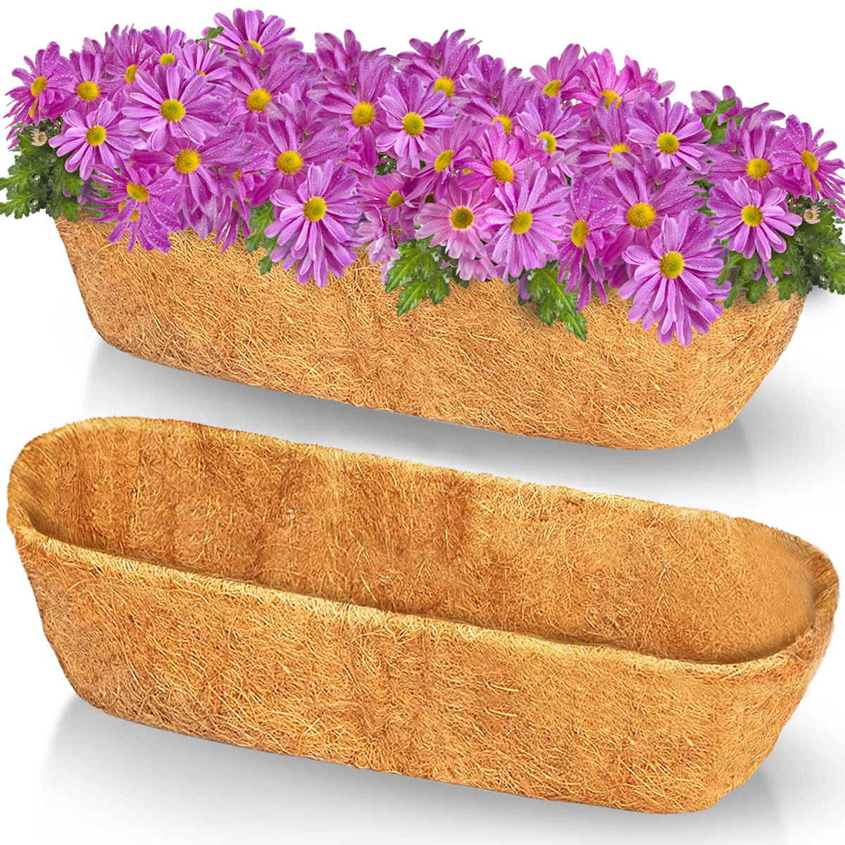 TigeJoy 24in coconut coir liner in a front basket view showing moisture regulation benefits.