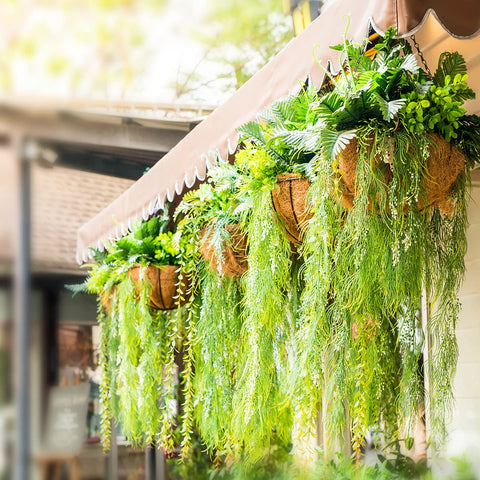 TigeJoy rustic appearance adds natural charm to spaces.