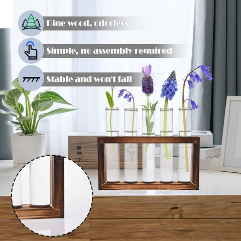Clear borosilicate glass tubes provide visibility for root growth and health.