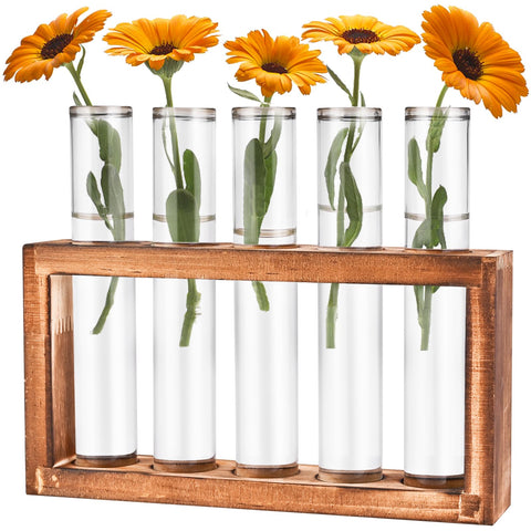 Tigvio desktop propagation station with wooden stand enhances home decor and plant propagation.