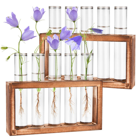 Tigvio desktop propagation station with wooden stand and ten tubes for plant cuttings