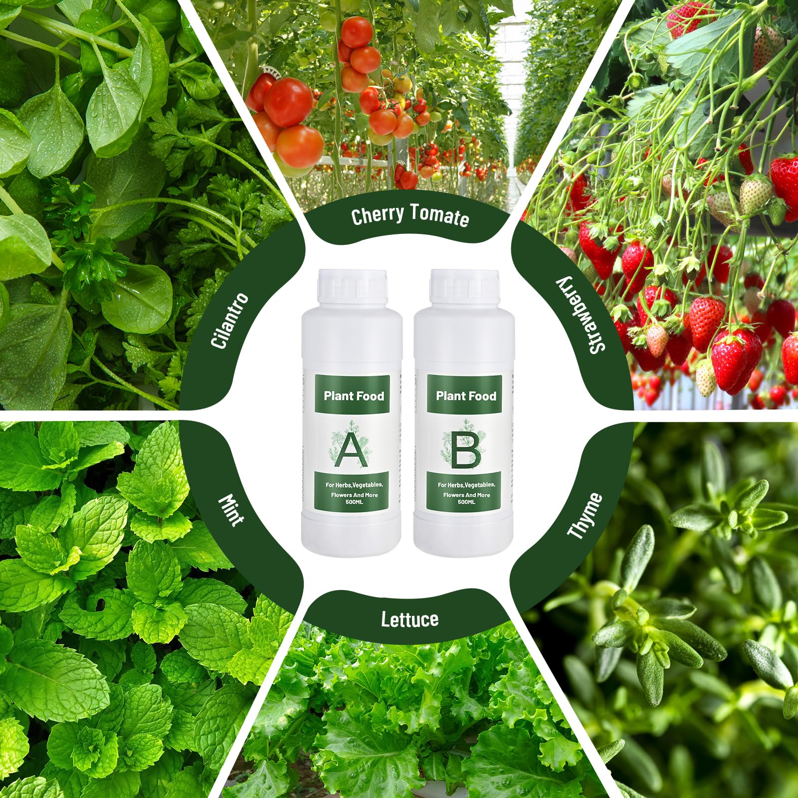 Tigvio dosing steps in a hydroponic setup with A&B
