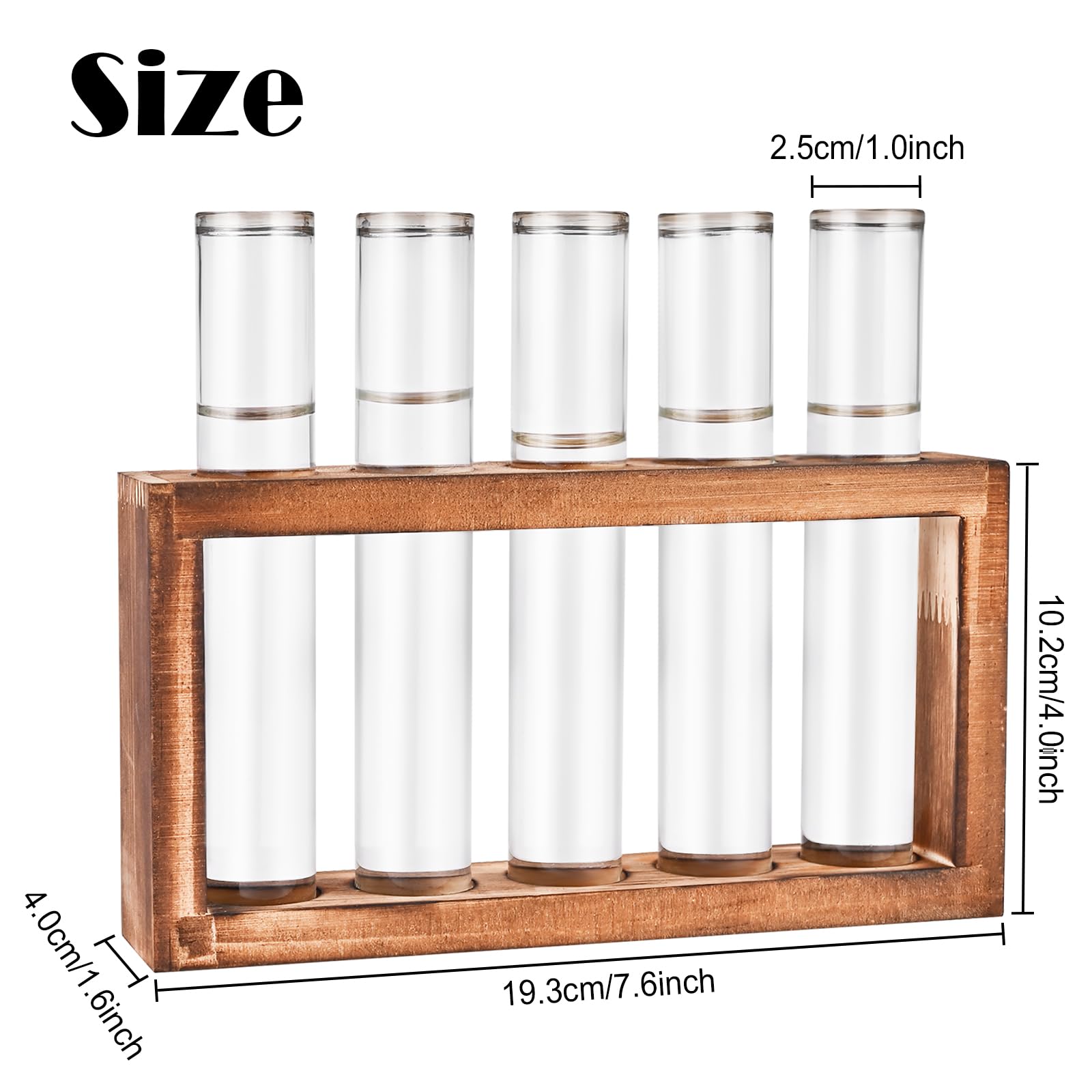 Five-test-tubes setup supports multiple cuttings at once for efficient propagation.