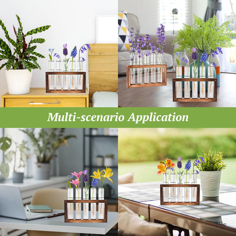 Tigvio office decor setup featuring propagation station on a desk