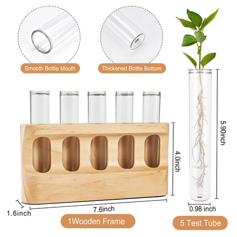Tigvio propagation station wood base offers sturdy home desk display.