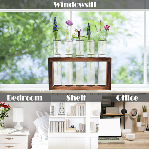 Ideal for weddings or terrarium-inspired displays on living spaces.