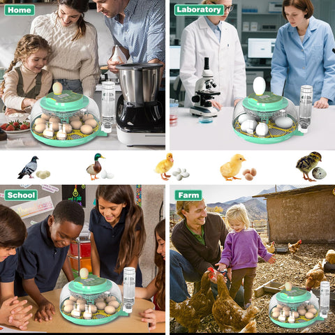 TIKJEN versatile incubator suitable for farms, classrooms, and homes.