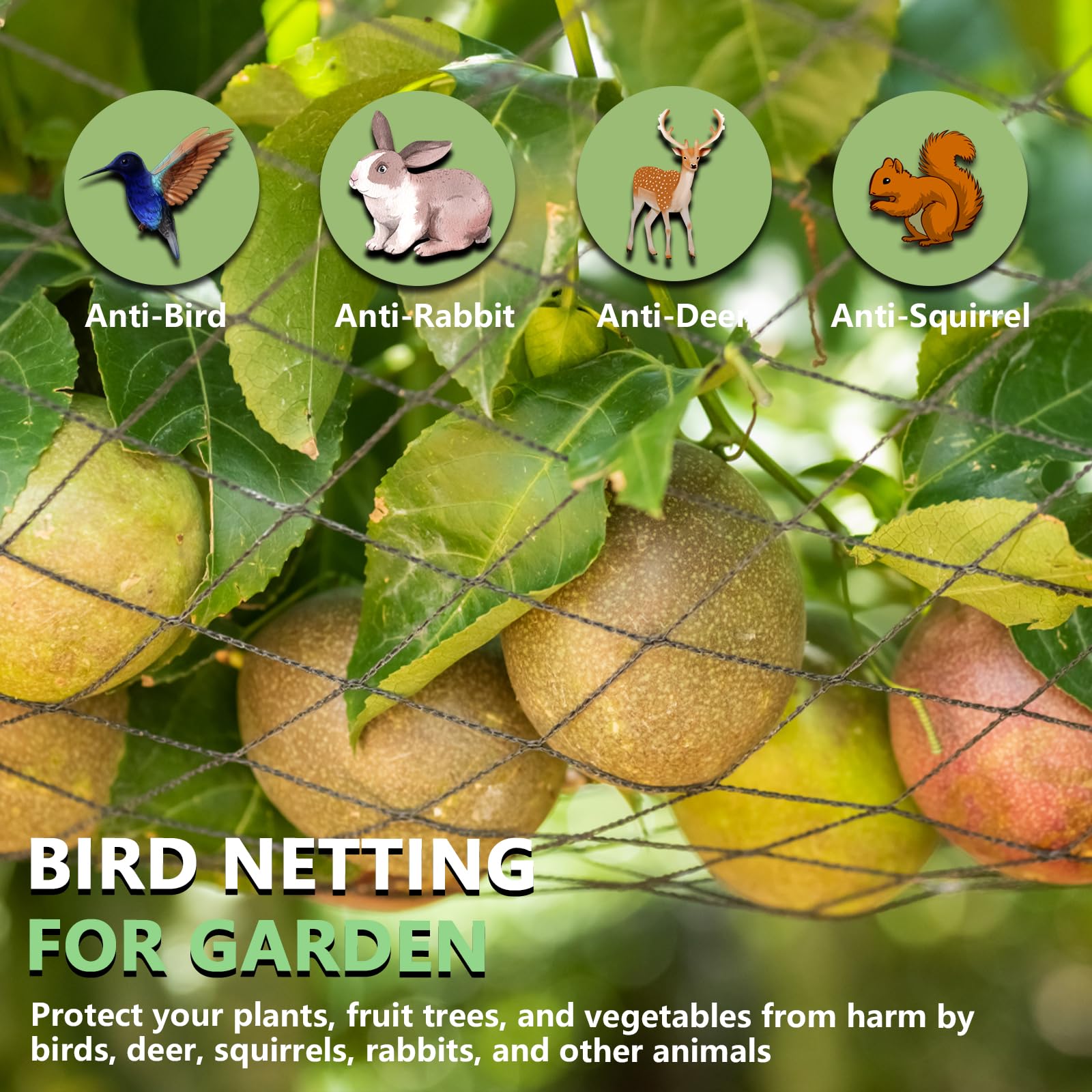 Tilvex bird netting stretched over a coop demonstrates poultry protection