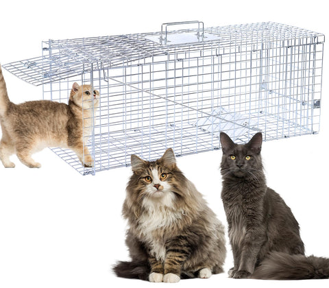 Timaze 32 inch live animal trap dimensions for precise placement planning