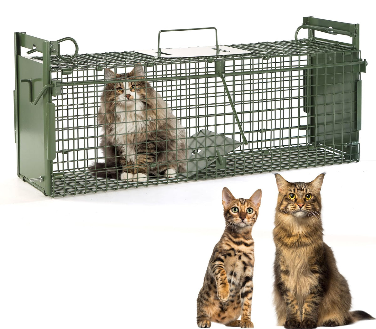Timaze 40-inch two-door live trap front view showing entry path