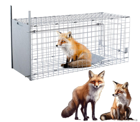 Timaze 42-inch live trap front view demonstrates sturdy construction for humane capture.