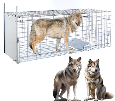 Timaze 57-inch humane live trap for safe capture of larger animals.