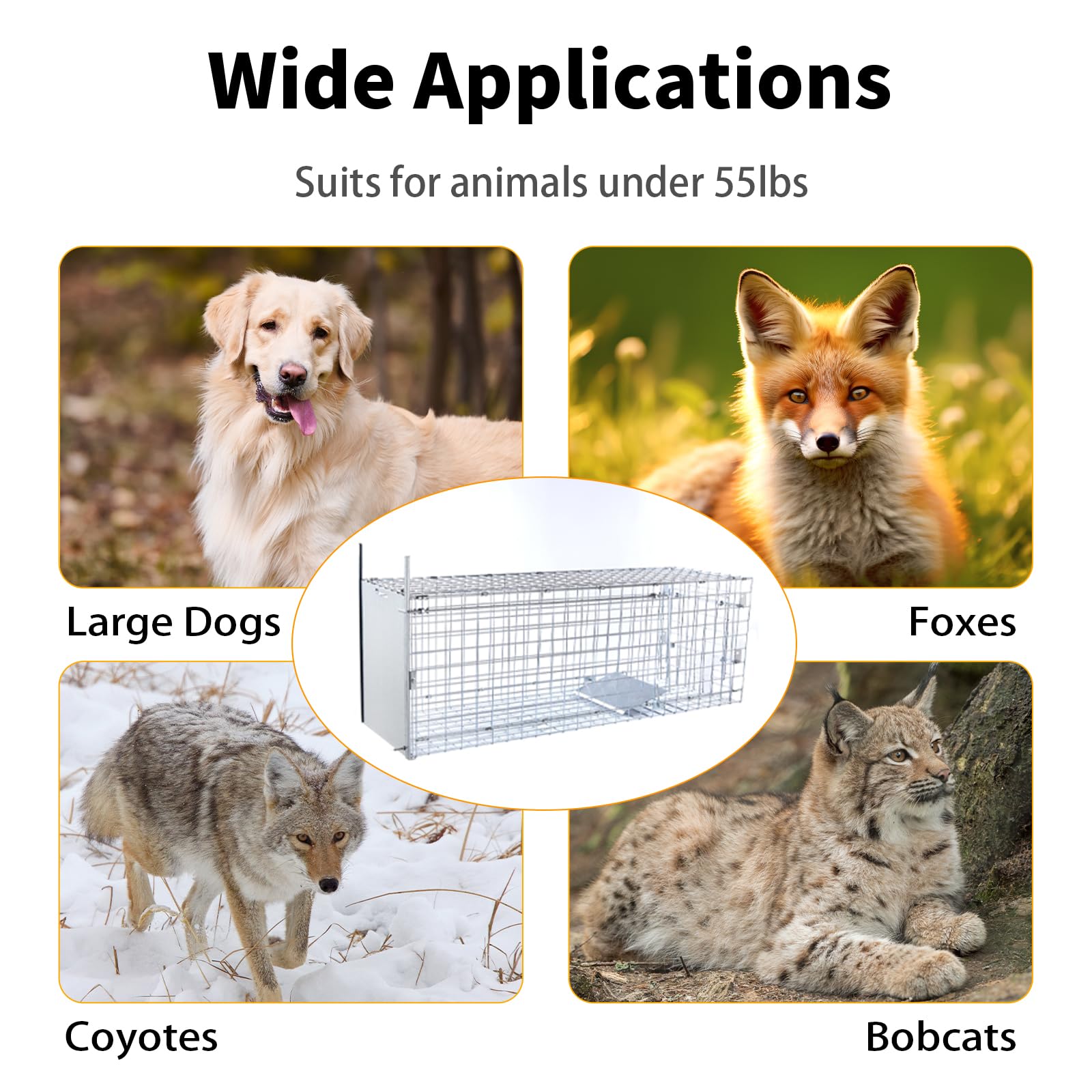 Timaze large dog trap up to 55 pounds for humane relocation.