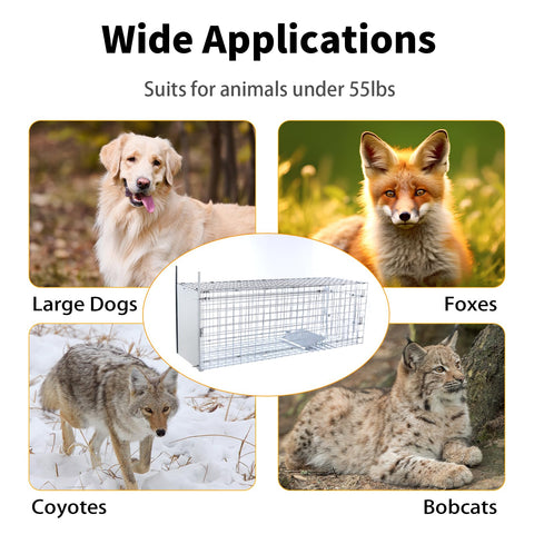 Timaze large dog trap up to 55 pounds for humane relocation.
