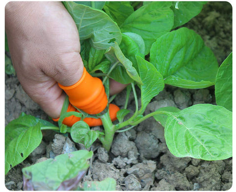 Time Pawnshop silicone fingertip sleeve offers comfortable wear during gardening.