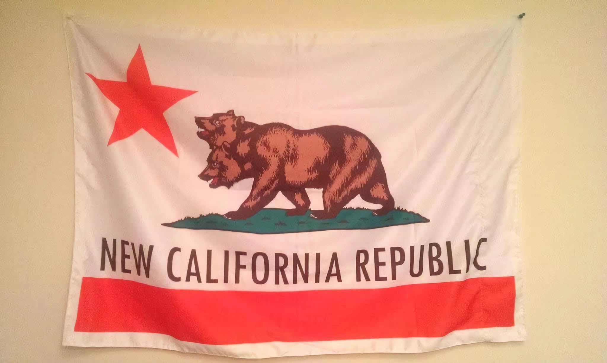 Time Roaming New California Republic flag mounted on wall for indoor decor.