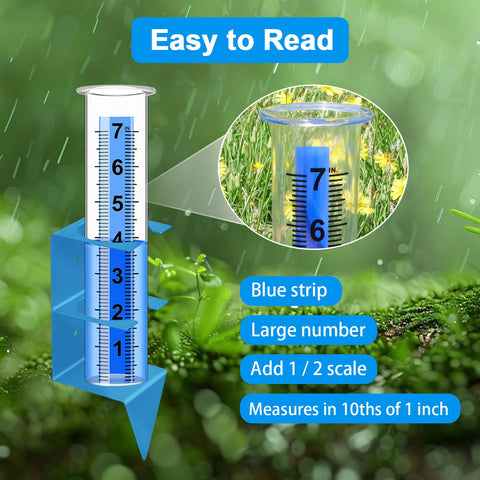 Blue reading strip on Timenued gauge improves readability from a distance.