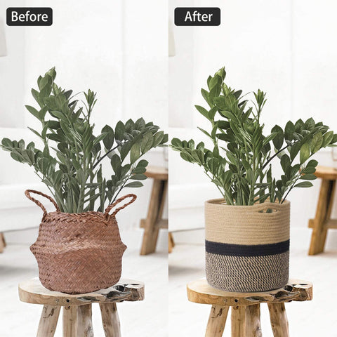 TIMEYARD handwoven cotton rope basket pairs with statement plants