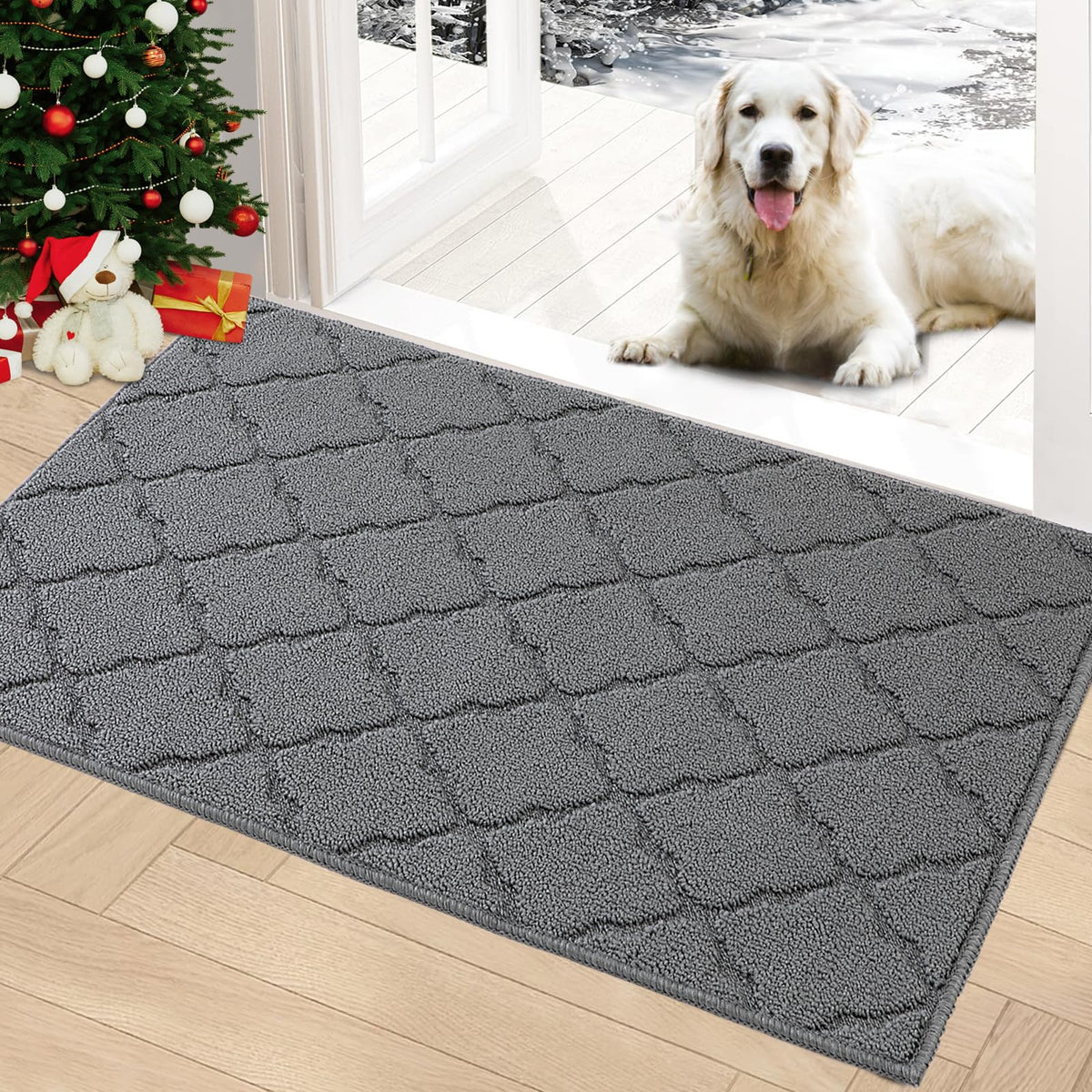 Timo indoor doormat front door setup demonstrates entryway cleanliness.