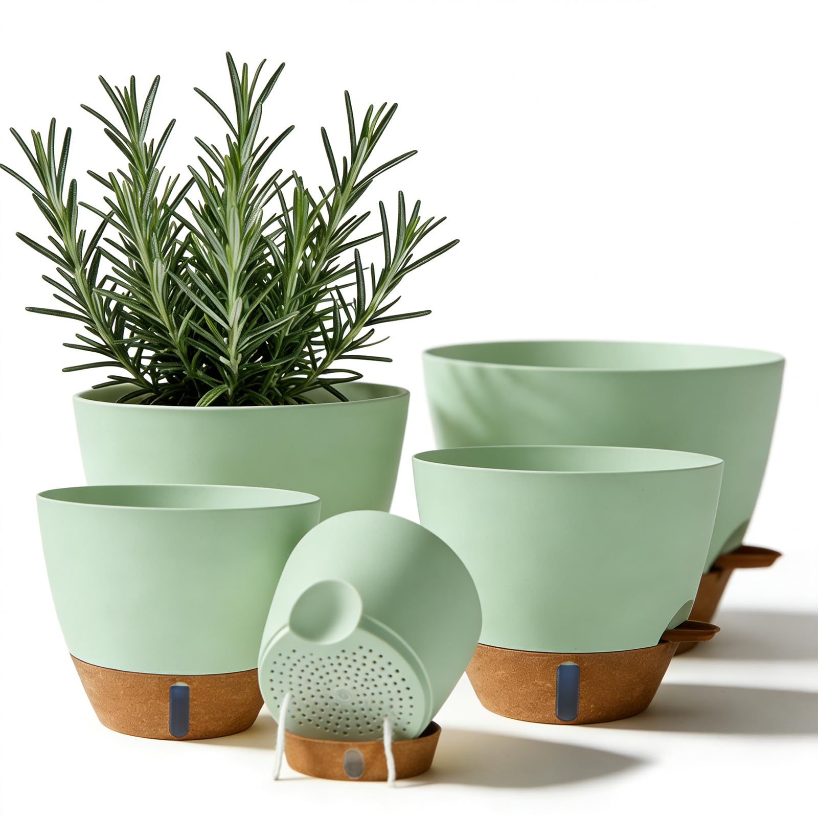 Tinecio self-watering pot in green front view with water window for easy moisture checks
