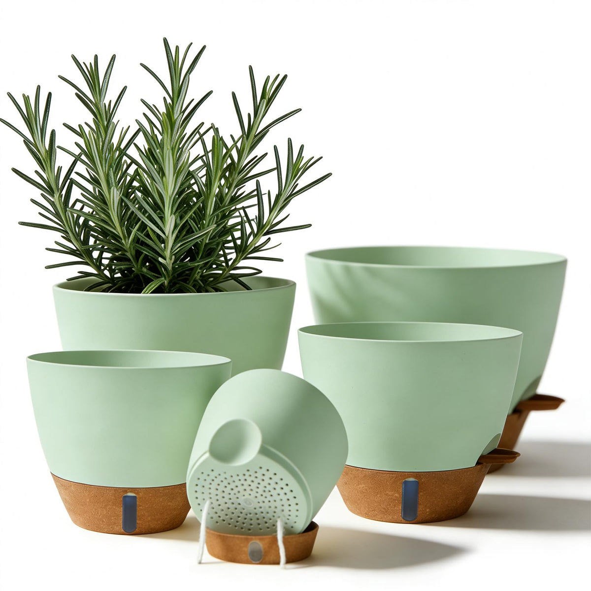 Tinecio self-watering pot in green front view with water window for easy moisture checks