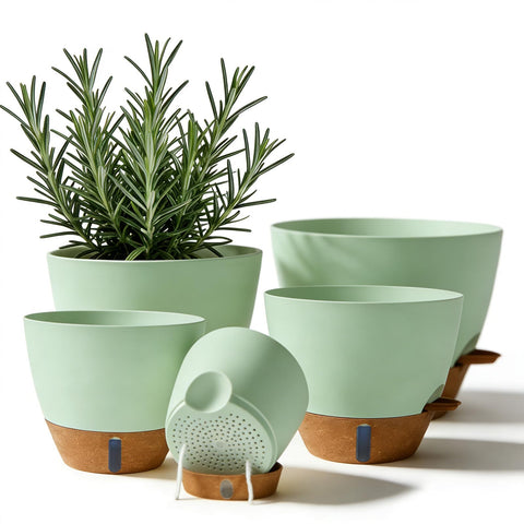 Tinecio self-watering pot in green front view with water window for easy moisture checks