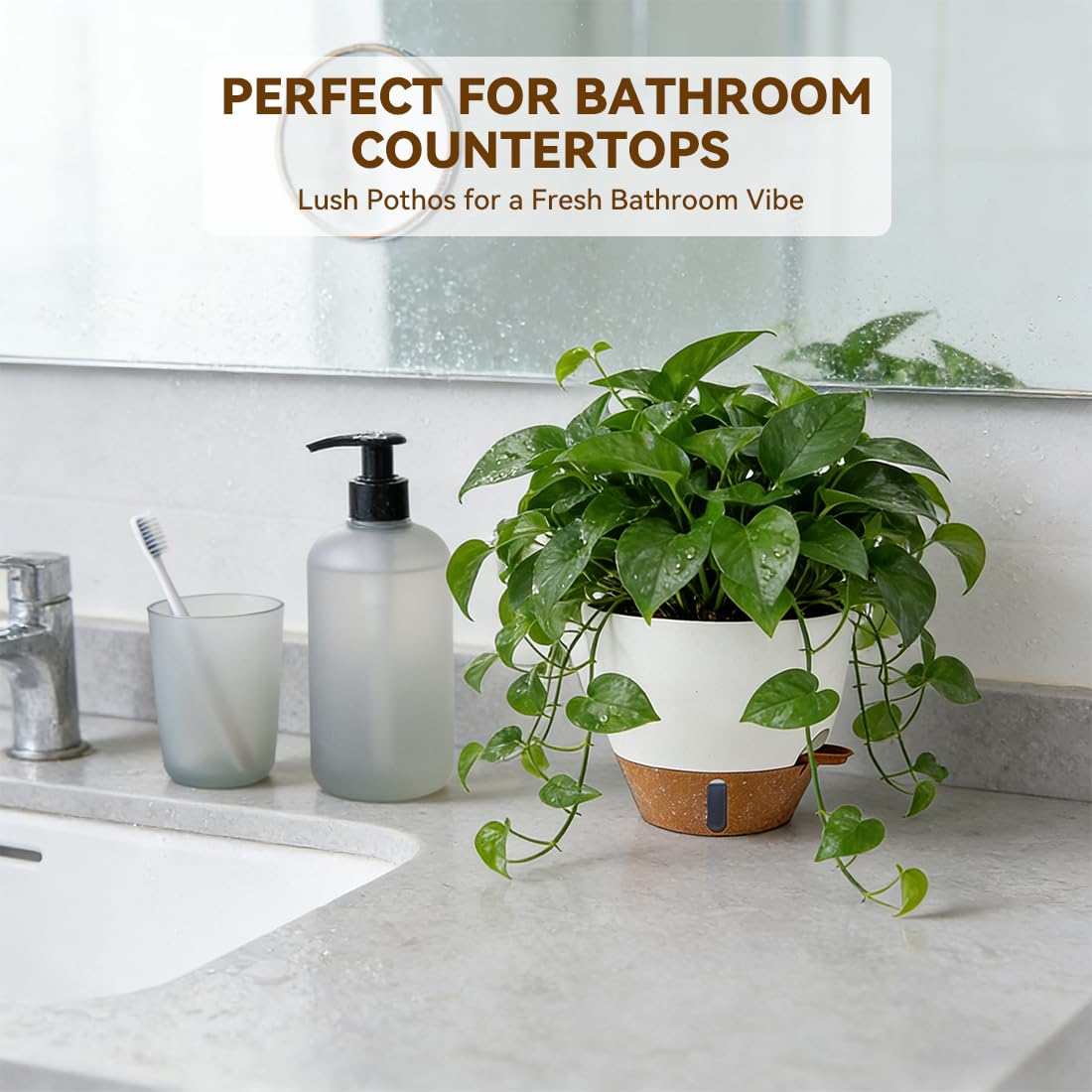 Tinecio pot with removable tray keeps surfaces clean and dry.