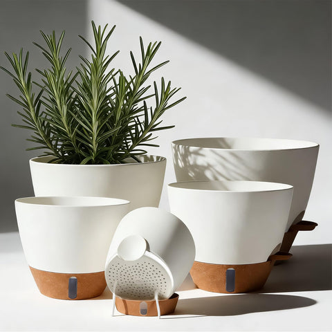 Tinecio self-watering pot 7-inch white top view boosts moisture control.
