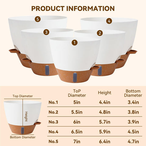 Tinecio self-watering pot raised inner pot improves root oxygen.