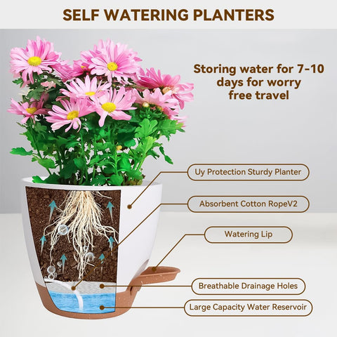 Tinecio self-watering pot supports herbs and small plants with steady moisture.