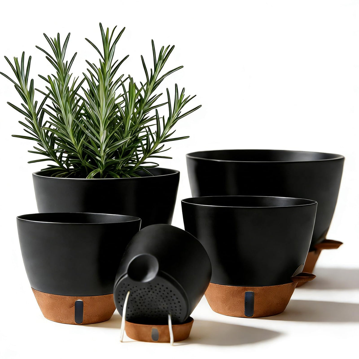 Tinecio self-watering pot with water window aids moisture monitoring.