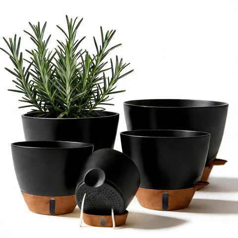 Tinecio self-watering pot with water window aids moisture monitoring.