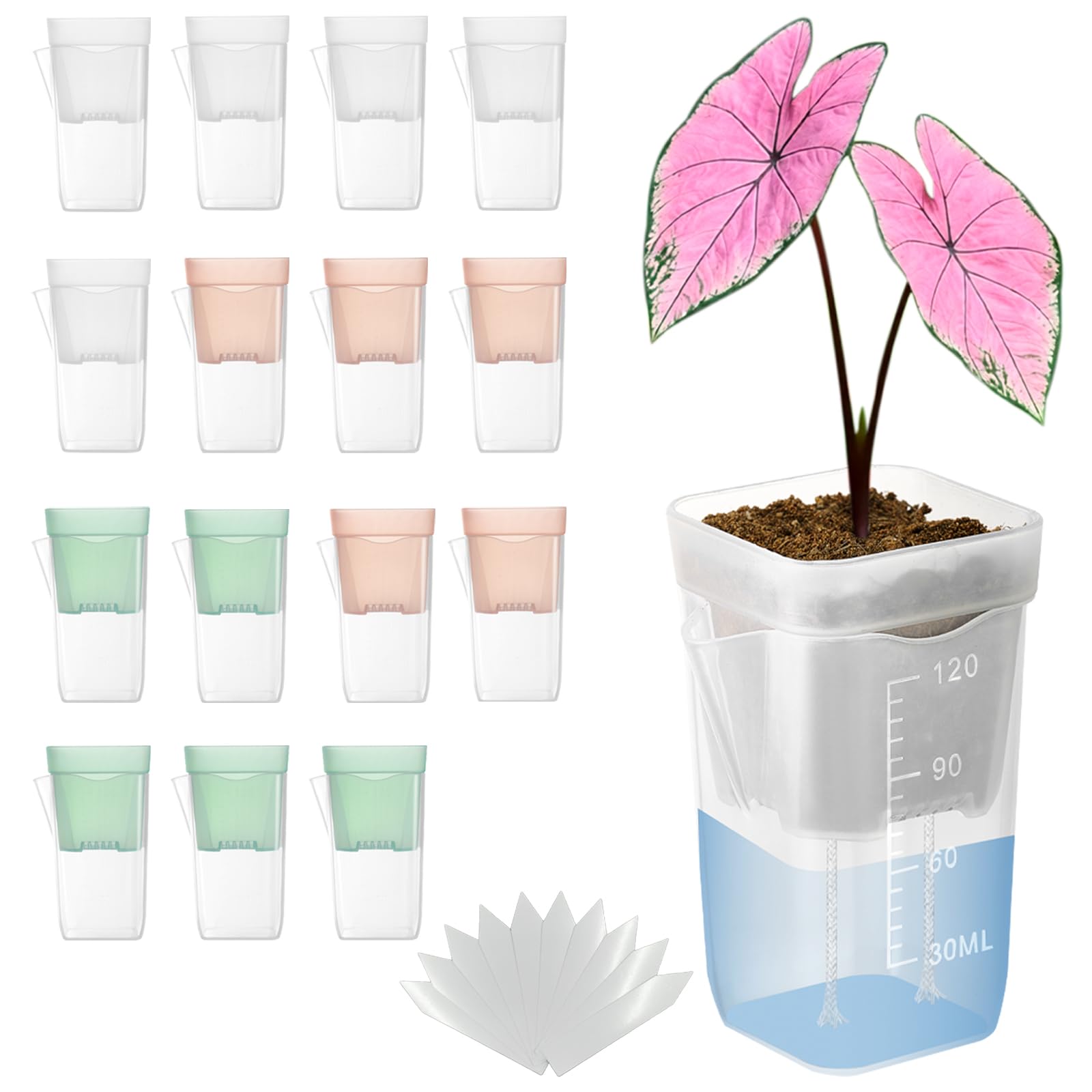TineDew 2-inch self-watering pot with clear walls for easy root watching