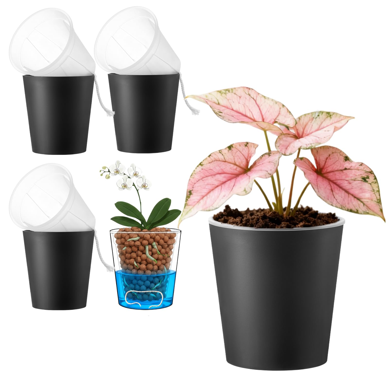 TineDew cachepots with clear inner pot showing root visibility for monitoring.
