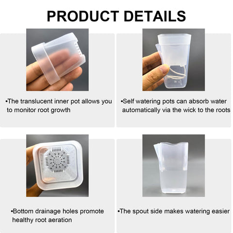 TineDew bottom-watering system enables automatic hydration for busy days