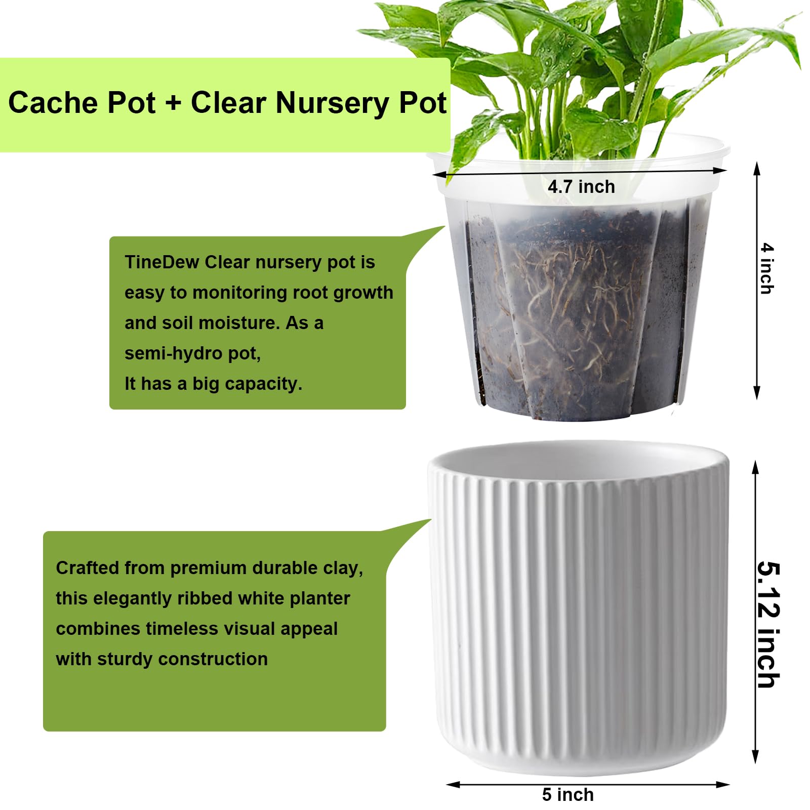 TineDew clear inner pot shows root growth for easy monitoring.