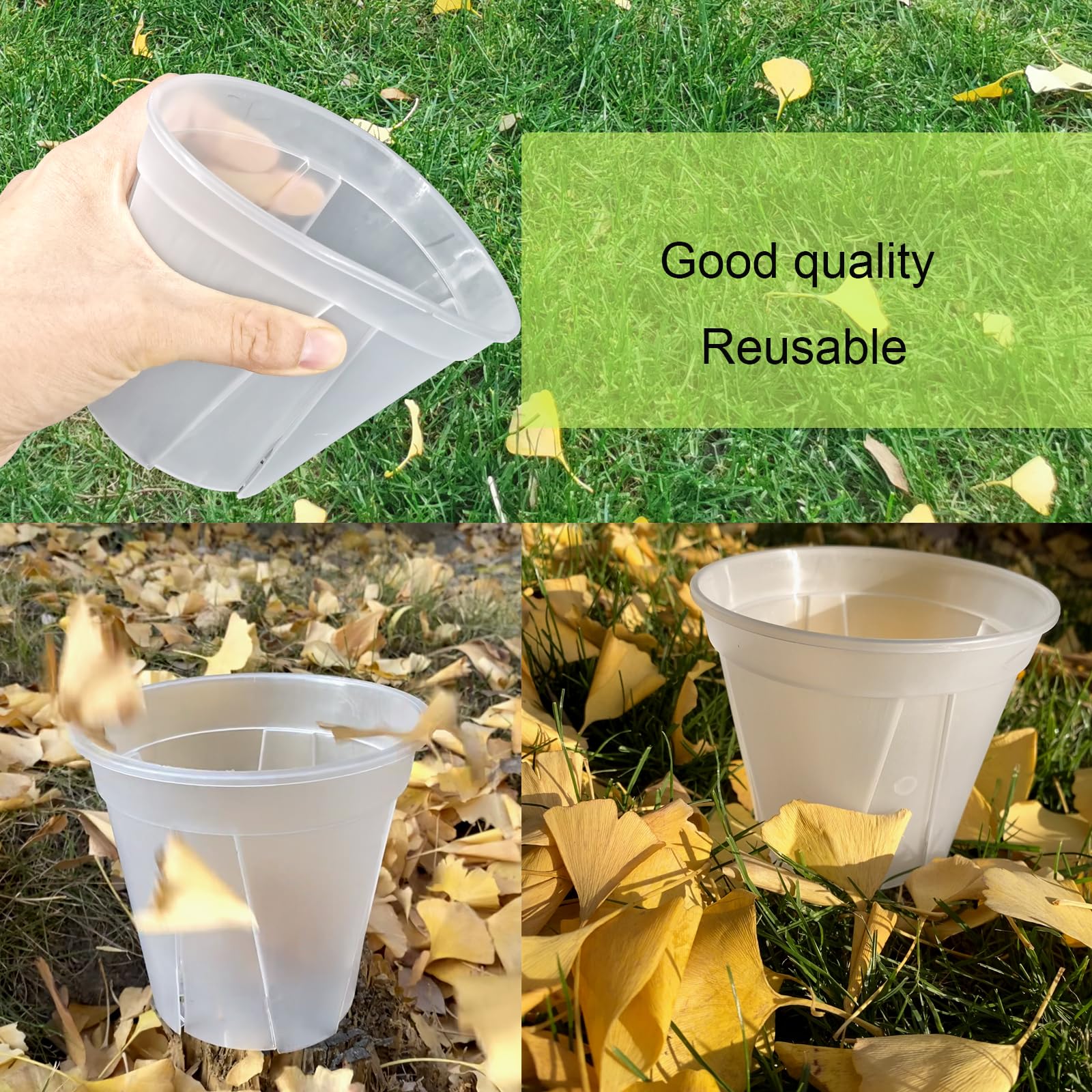 TineDew clear nursery pot with L-shaped drainage holes 6-inch for consistent moisture management.