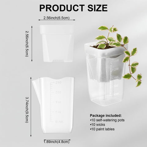 TineDew clear outer pot and moisture meter simplify watering precision.