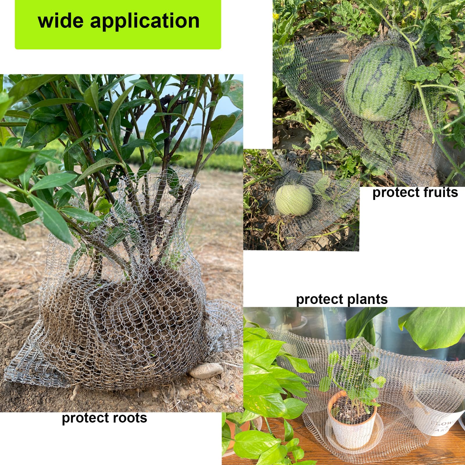 TineDew gopher basket five-gallon wire basket shields fruits and roots in the garden.