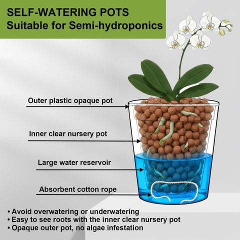 TineDew inner clear pot highlights root growth and moisture levels.