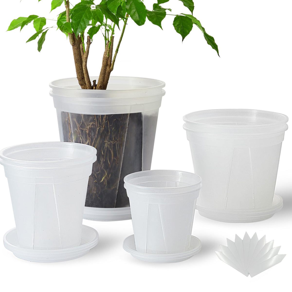 TineDew large clear nursery pot 5-inch with saucer enables easy root observation and surface protection.